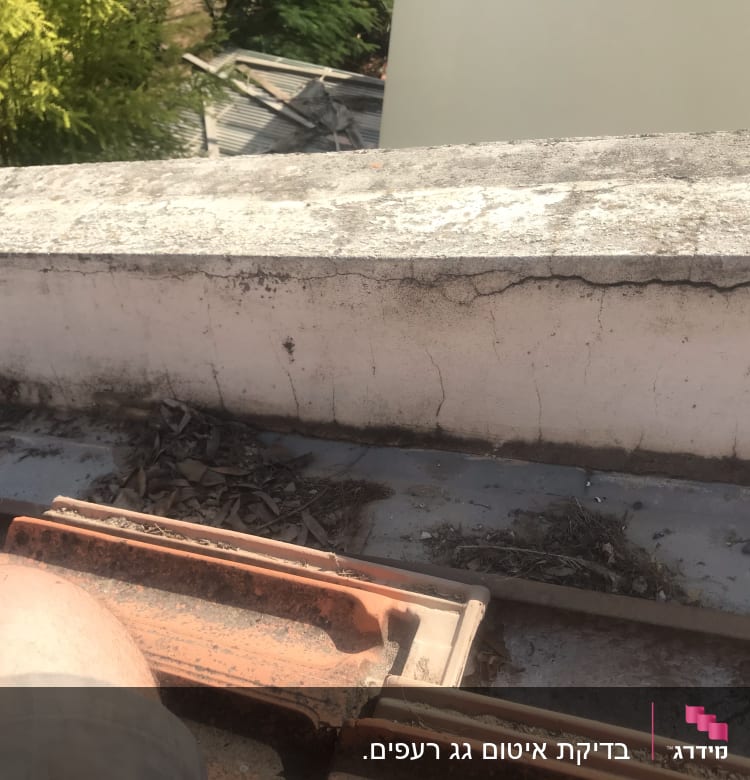 סדקים בקיר גג עם עלים יבשים